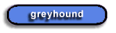 Greyhound